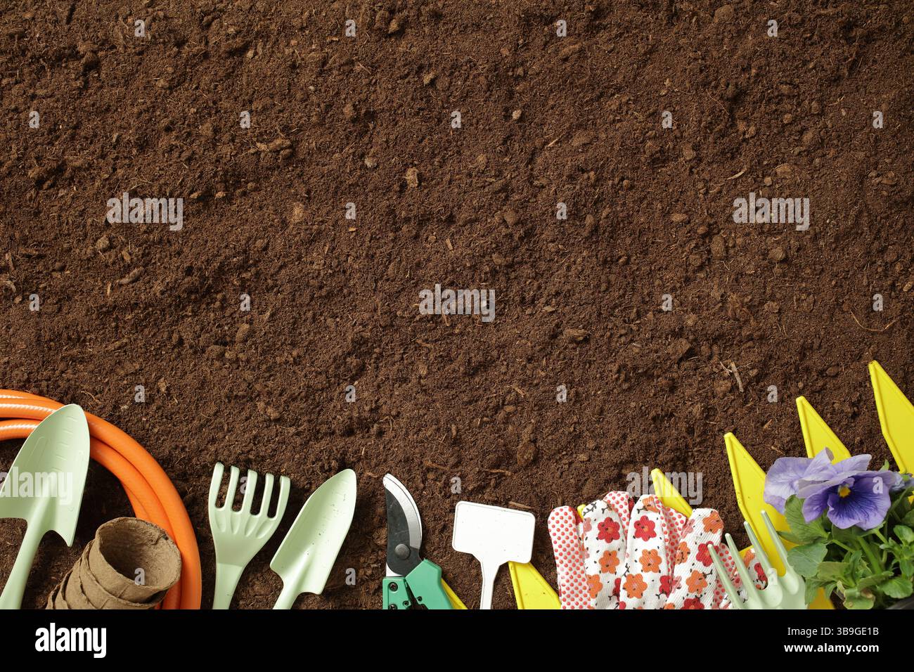 Eine Vielzahl von Gartenwerkzeugen, einschließlich Handschuhe, Spaten und ein Schlauch, sind auf einem Bodengrund angeordnet. Ein kleiner Topf mit violetten Blüten verleiht Ihnen einen Hauch von Stockfoto