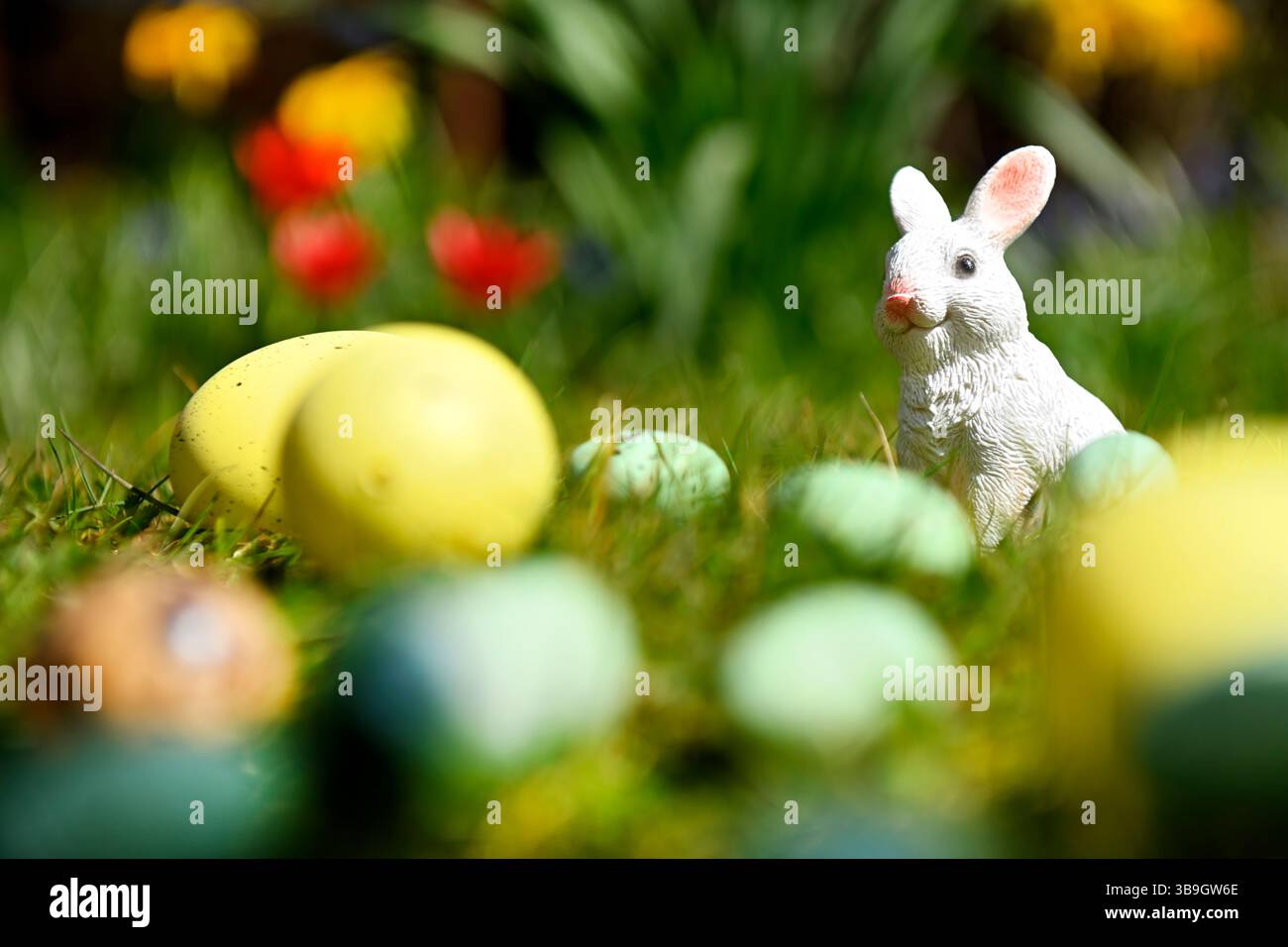 Osterhase mit Ostereiern vor Frühlingsblumen Stockfoto