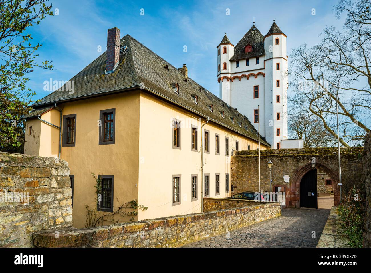 Kurfürstliche Burg in Eltville, der Rosenstadt im Rheingau, Turmburg direkt am Rheinufer, heute Sitz des Standesamtes und des Gutenberg-Museums Stockfoto