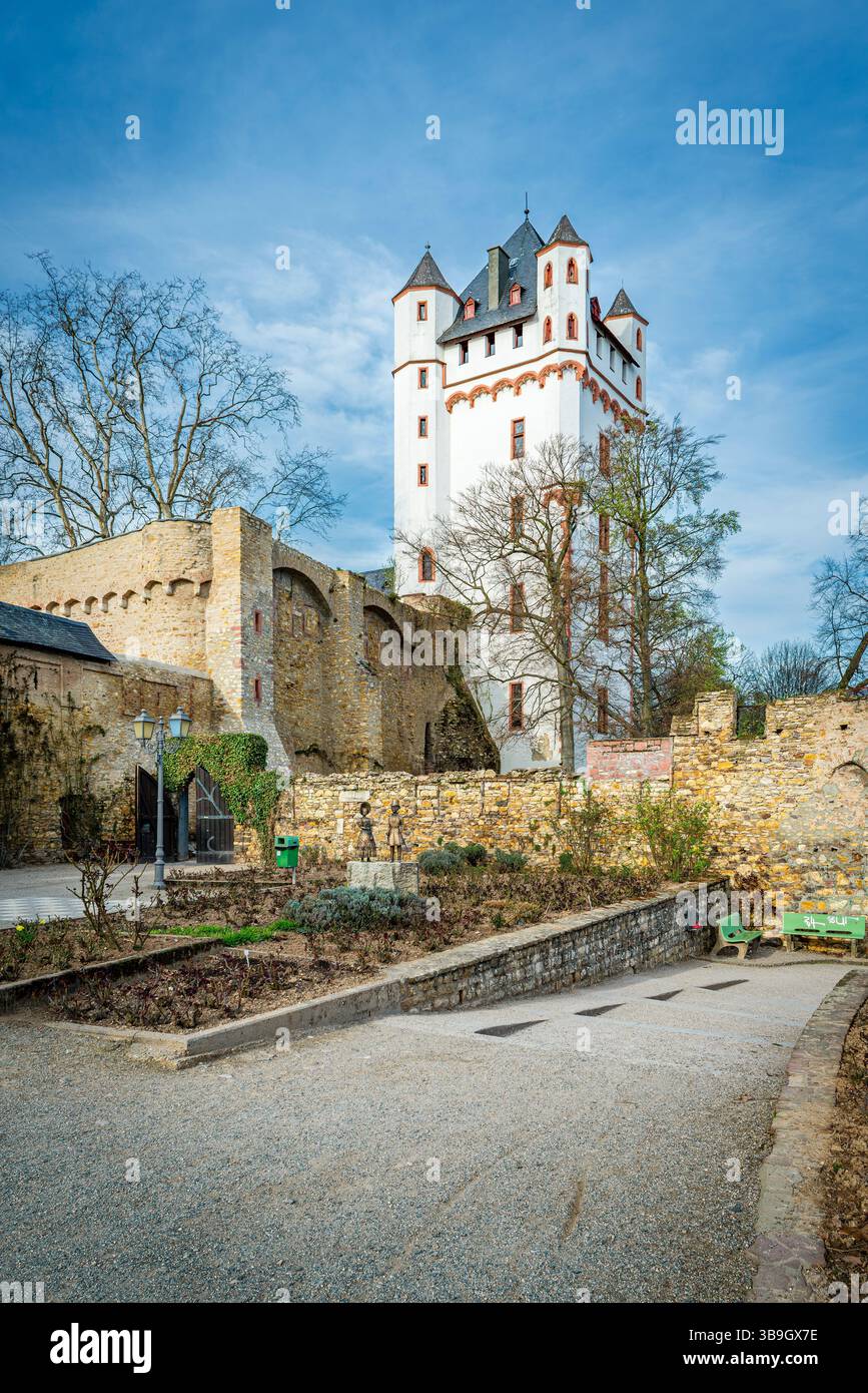 Kurfürstliche Burg in Eltville, der Rosenstadt im Rheingau, Turmburg direkt am Rheinufer, heute Sitz des Standesamtes und des Gutenberg-Museums Stockfoto