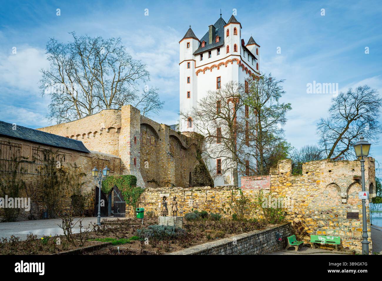 Kurfürstliche Burg in Eltville, der Rosenstadt im Rheingau, Turmburg direkt am Rheinufer, heute Sitz des Standesamtes und des Gutenberg-Museums Stockfoto