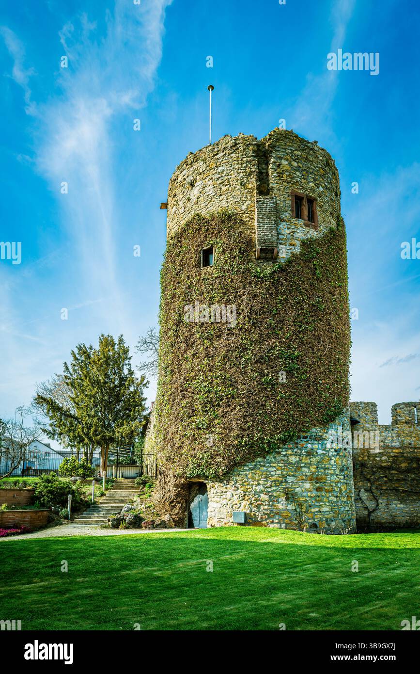 Sebastiansturm in der Rosenstadt Eltville im Rheingau, direkt an der Rheinpromenade, Teil der Stadtbefestigung an der Stelle eines bekannten Schaumweinkellers Stockfoto