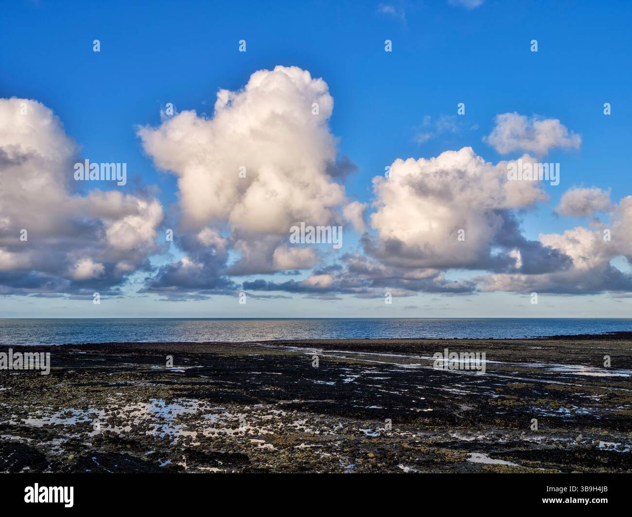 Am Strand in Yport, Normandie, französische Atlantikküste Stockfoto
