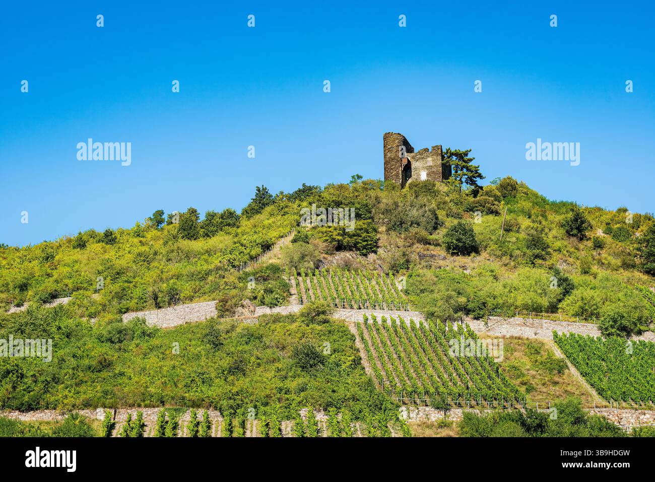 Schloss Nollig bei Lorch, Mittelrhein, auch Nollingen oder Nollenburg genannt, ein komfortabler Wachturm auf einem Bergrücken, führt der Rheinsteig direkt an ihm vorbei, UNESCO-Weltkulturerbe Oberes Mittelrheintal Stockfoto