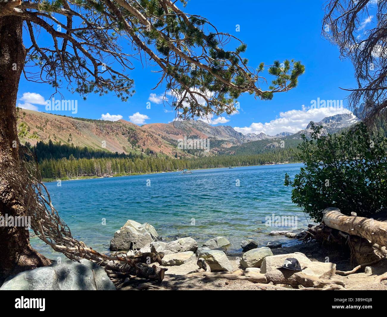 Lake Mary in Mammut im Sommer - Smartphone-aufgenommenes Stockfoto