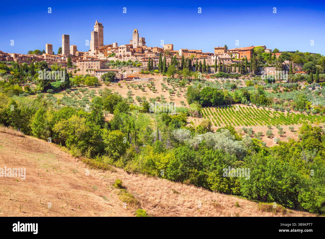 San Gimignano und die Toskana in Italien. Mittelalterliche Skyline mit berühmten Türmen an sonnigen Tagen Stockfoto