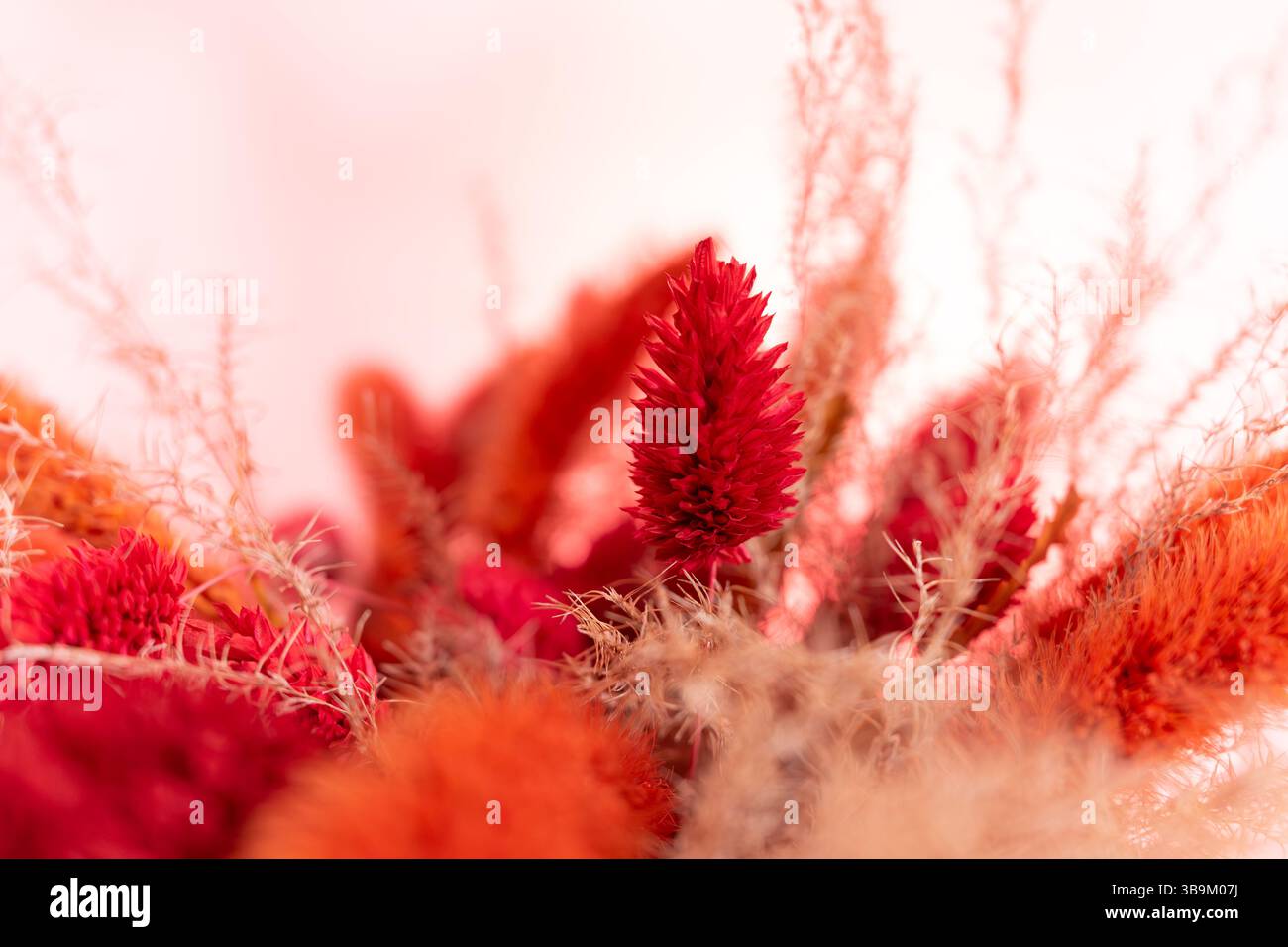 Ein farbenfroher Blumenstrauß mit verschiedenen getrockneten Blumen in Rot- und Orangentönen schafft eine warme und einladende Atmosphäre. Die Texturen fügen der Tiefe hinzu Stockfoto