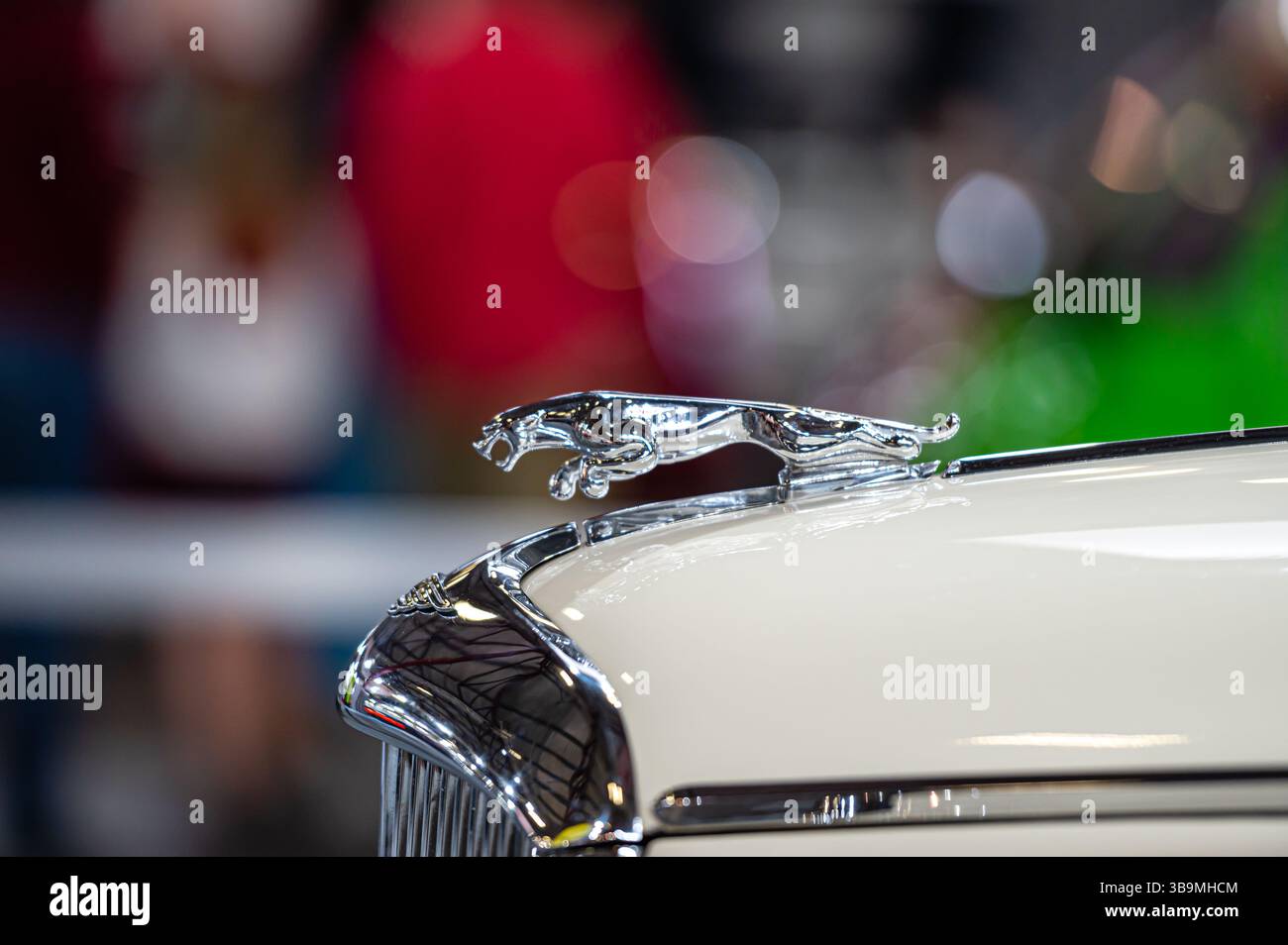 Riga, Lettland, 29. April 2022: Die Chrom-Kapuze-Verzierung eines Luxusautos glänzt unter den pulsierenden Besuchern der Autoausstellung. Stockfoto