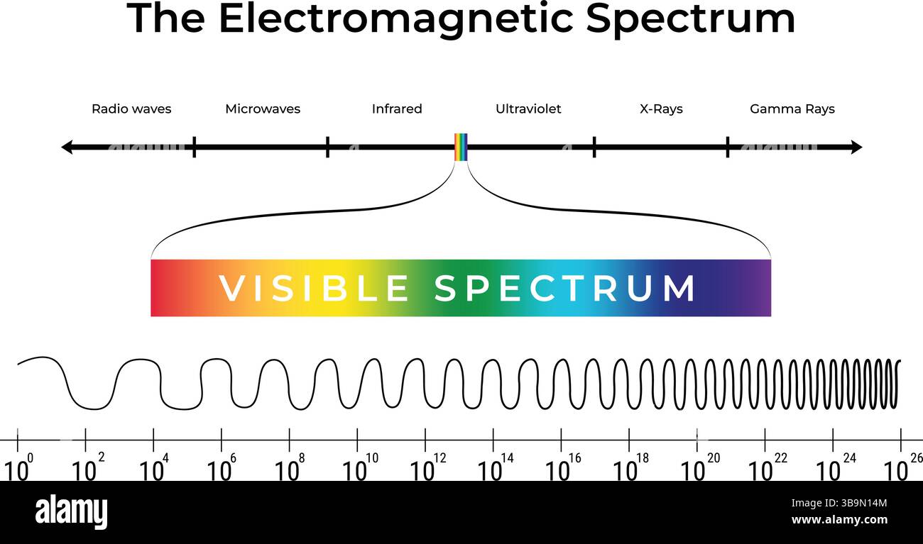 Die Illustration des Elektromagnetischen Spektrums und des Vektors für sichtbares Licht Stock Vektor
