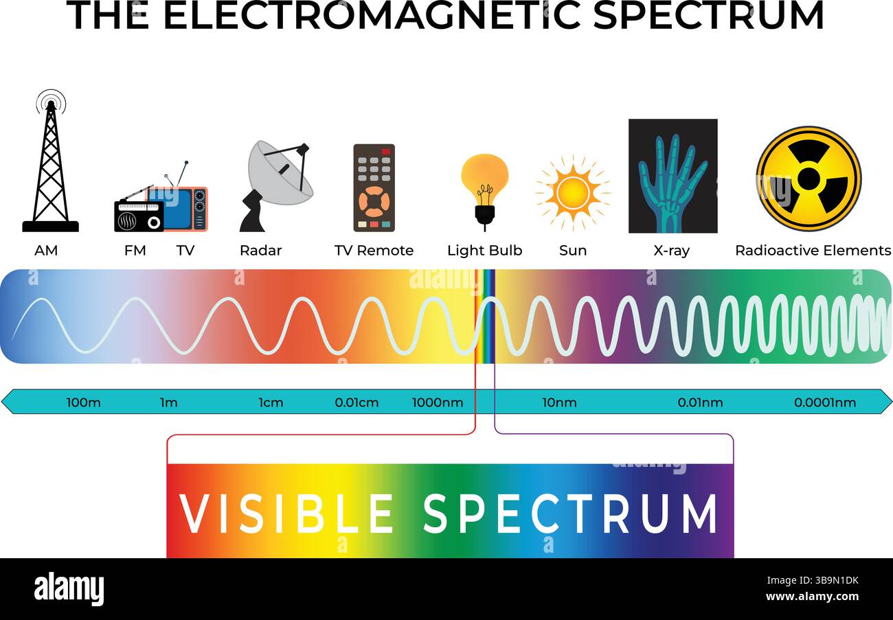 Übersicht Über Das Elektromagnetische Spektrum Vektor-Illustration Stock Vektor