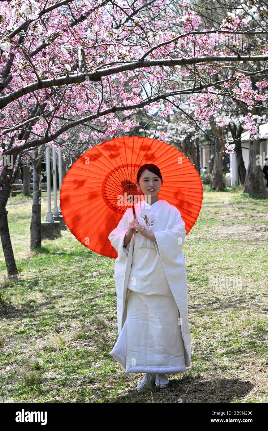 Japanische Frau, die einen roten Wagasa-Regenschirm mit traditionellem japanischem Kimono in Kyoto, Japan, hält. Stockfoto