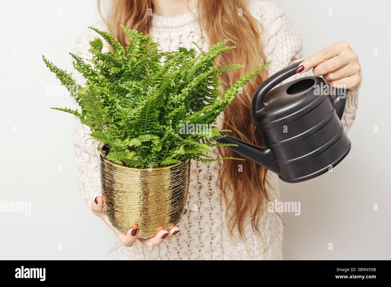 Frau, die grünen Farn tränkt. Hauspflanze im goldenen Topf. Gartenkonzept im Innenbereich. Frische grüne Blätter innen. Zimmerpflanzenpflege mit Gießkanne. Stockfoto