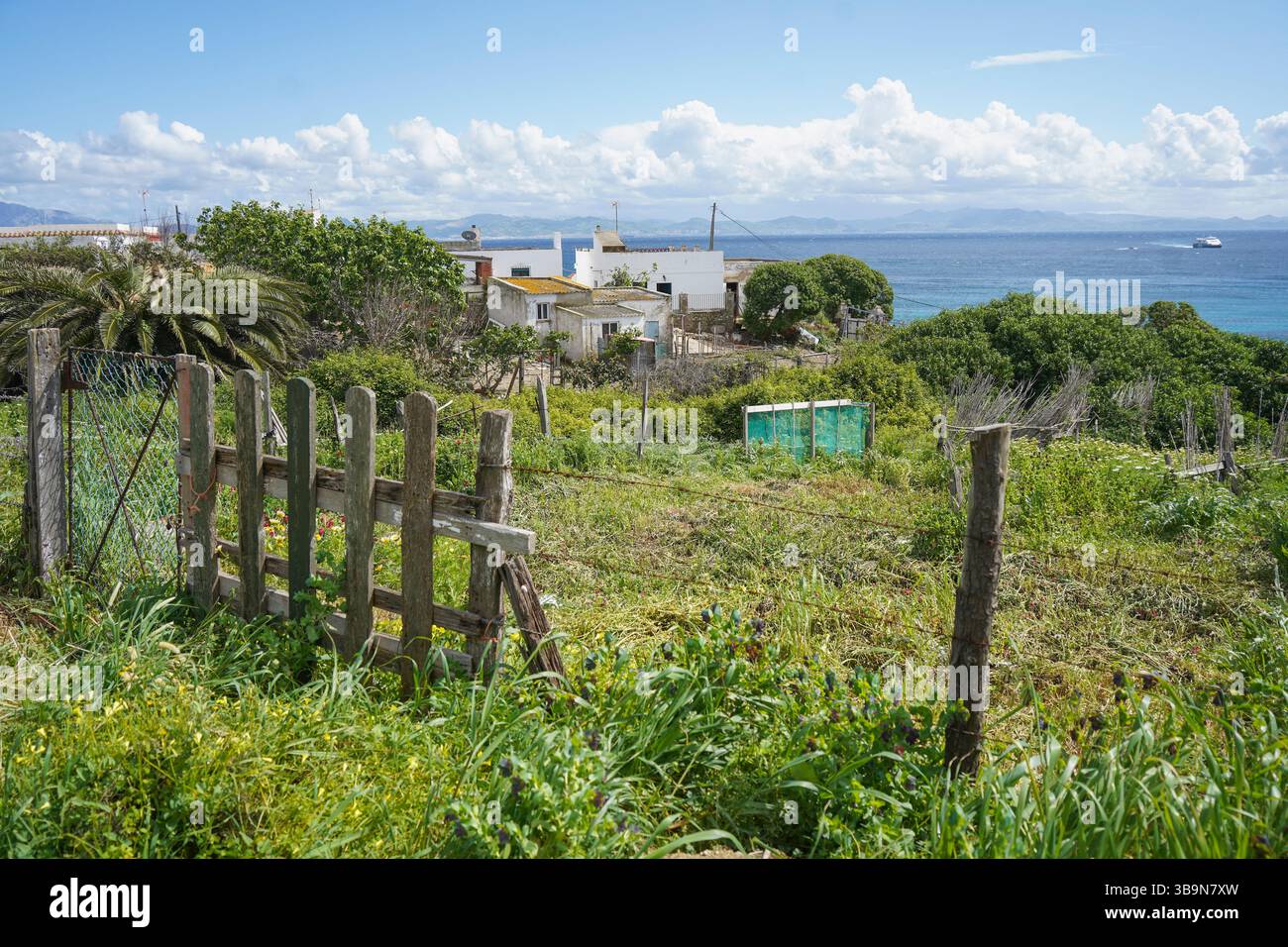 Ländliche Gegend außerhalb von Tarifa, Straße von Gibraltar mit Marokko dahinter, Andalusien, Spanien. Stockfoto