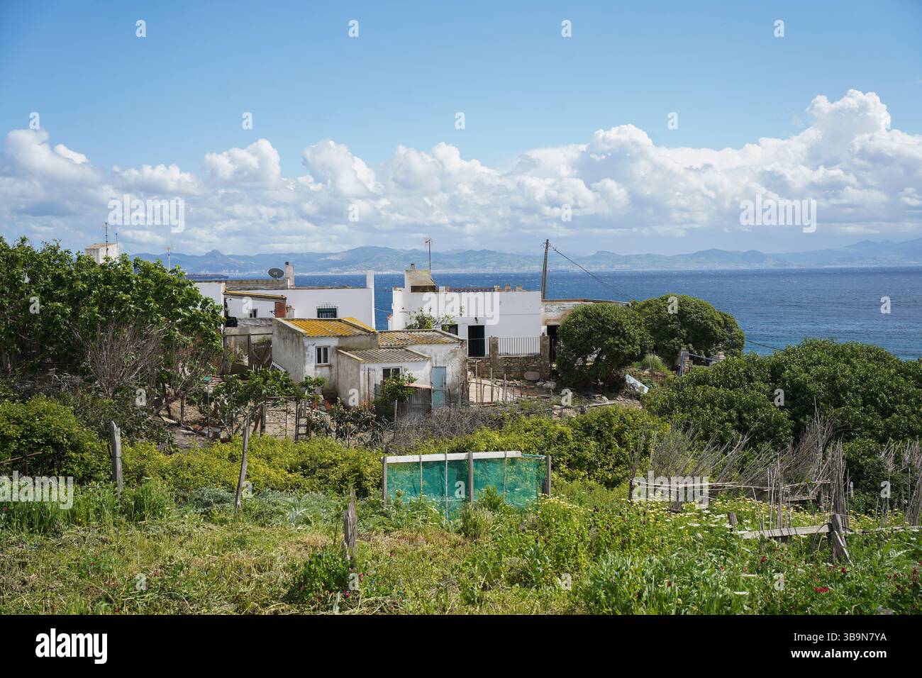 Ländliche Gegend außerhalb von Tarifa, Straße von Gibraltar mit Marokko dahinter, Andalusien, Spanien. Stockfoto