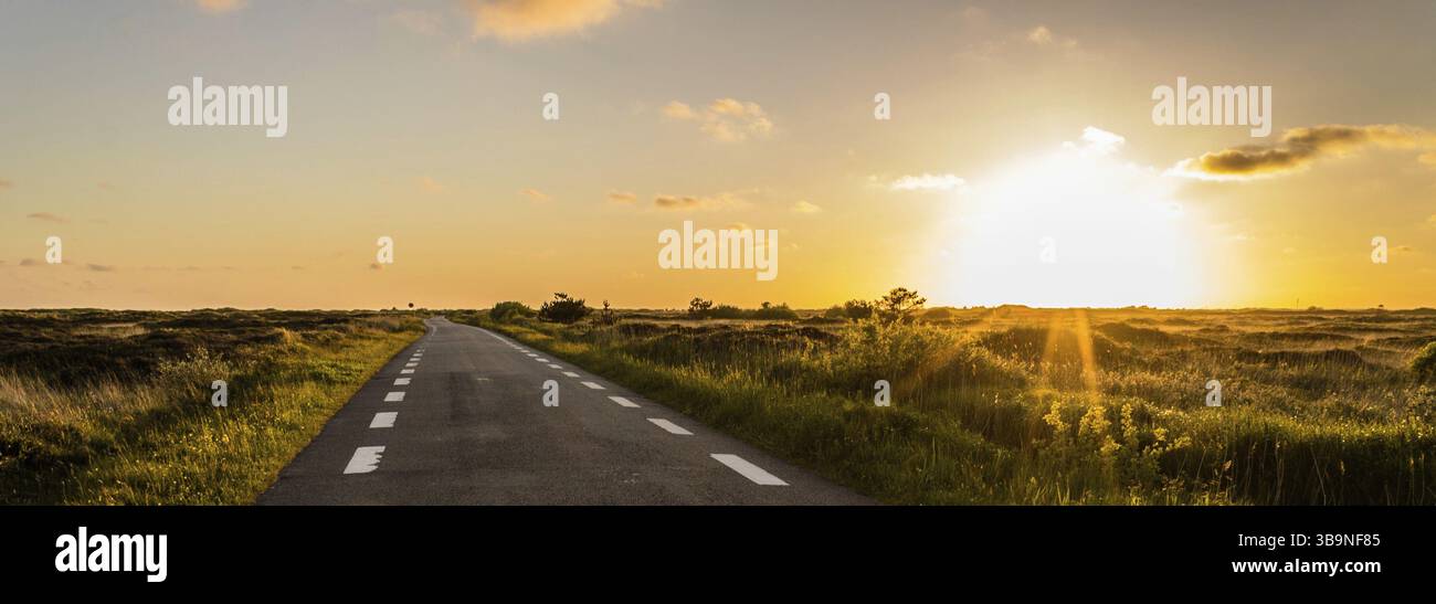 Roemoe ist ein fabelhafter Ort. Wunderbare Natur und Tierwelt. Es ist eine Insel auf den dänischen Wattenmeerinseln. Es ist auch ein UNESCO-Weltkulturerbe Stockfoto