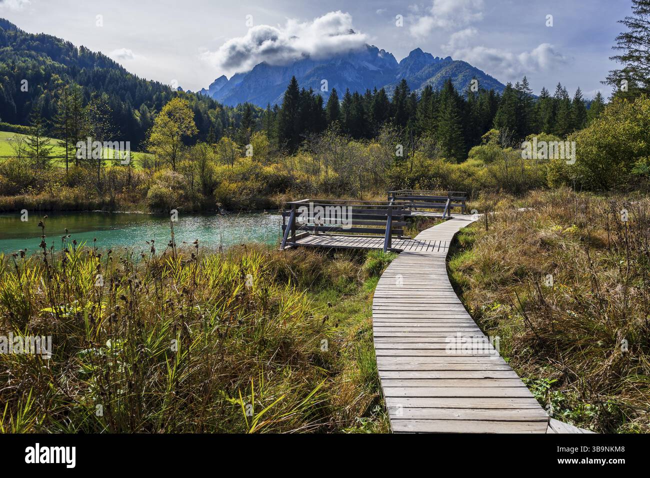 Zelenci Naturreservat, Drni-Sumpfgebiet, Triglav-Nationalpark, Julische alpen. Slowenien, Mitteleuropa Stockfoto