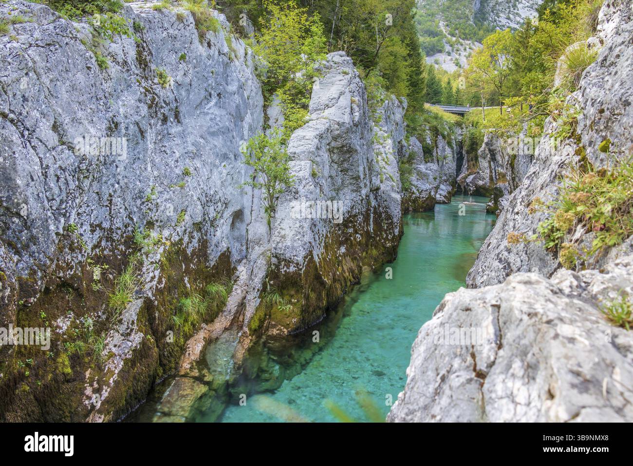 Im Heiligtum der Julischen Alpen, wo die Gipfel bis zu 2500 m und mehr erreichen können. Der König dieser Serie ist Triglav, Sloweniens höchste Halterung Stockfoto