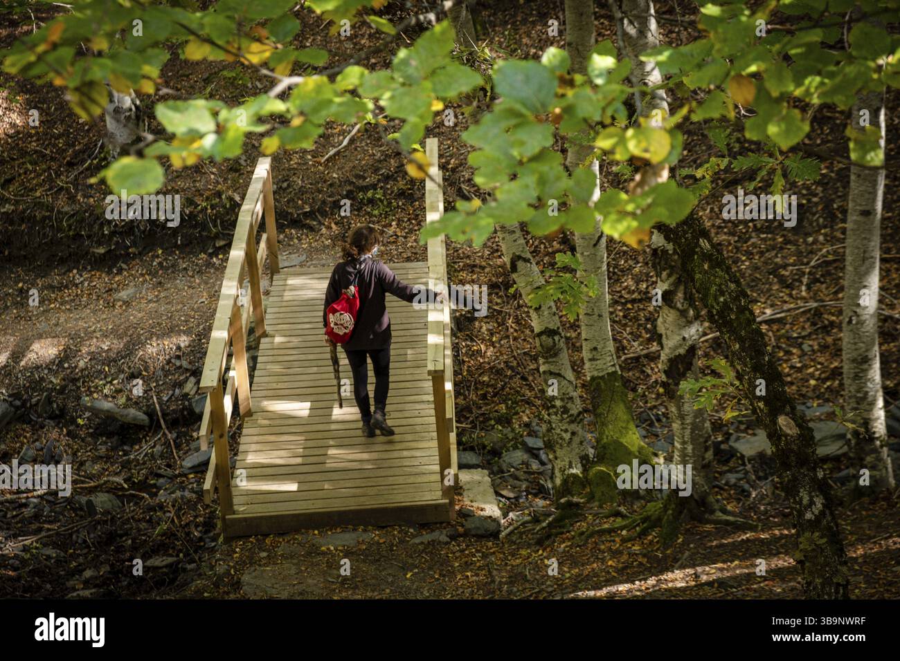 Naturpark Sierra Norte de Guadalajara, Cantalojas, Guadalajara, Spanien, Europa Stockfoto
