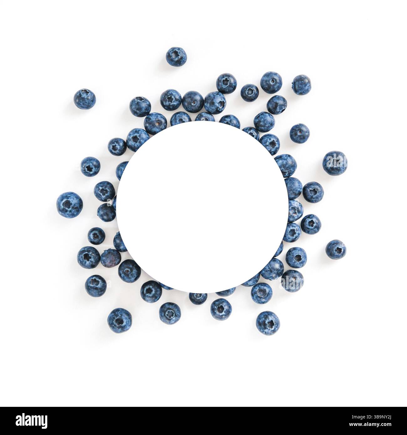 Kreatives Layout mit frischen reifen Beeren. Blueberry isoliert auf weißem Hintergrund mit weißen Kreis für Kopieren. Nutzen Sie für Ihr Design, Promo, soci Stockfoto