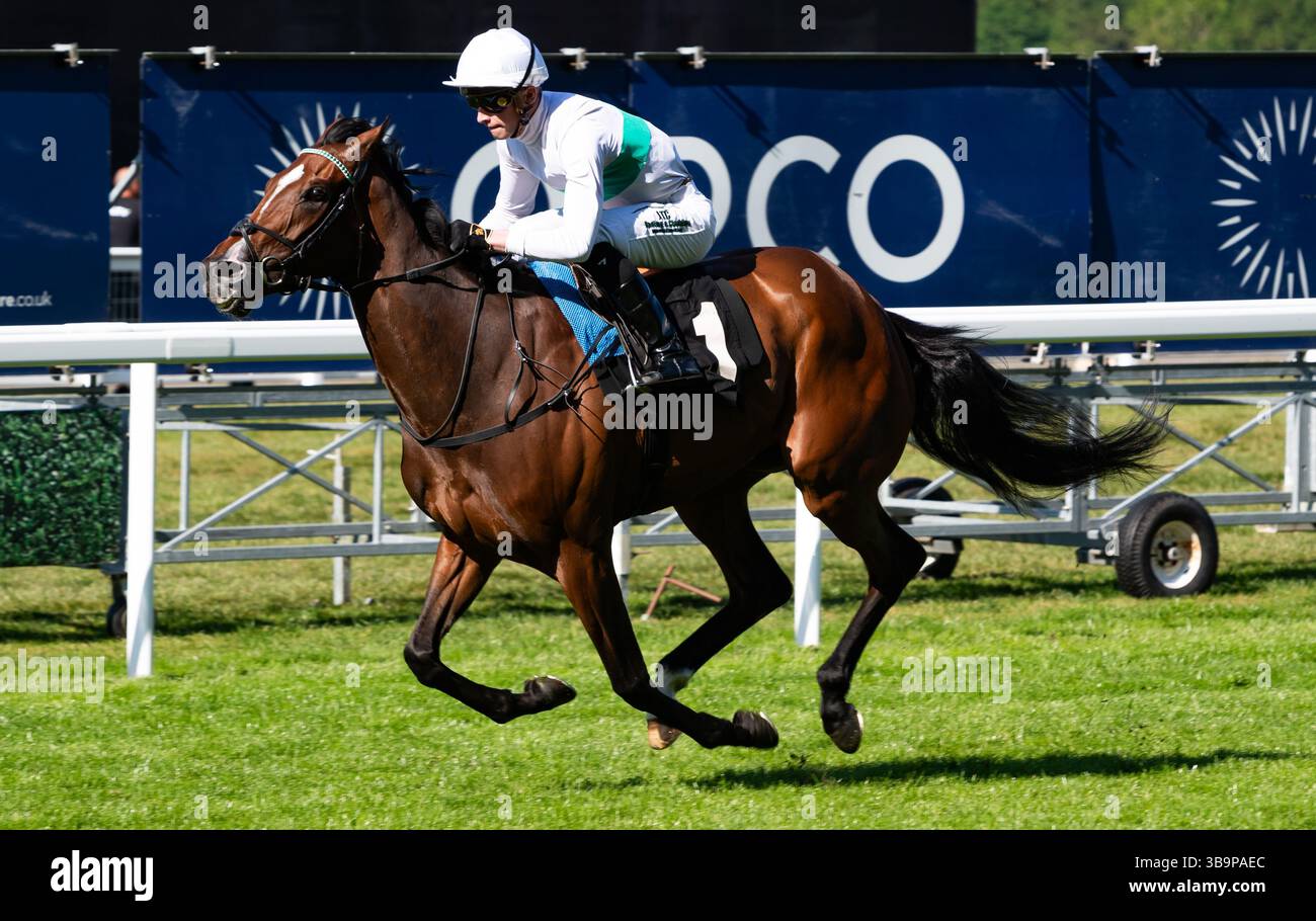 Ascot, Großbritannien, Samstag, 10. Mai 2025; Morrophore und Jockey Luke Catton gewinnen die Handicap-Stakes der Mariner Systems Fillies für die Trainer John & Thady Gosden und den Besitzer George Strawbridge. Credit JTW equine Images / Alamy Live News. Stockfoto