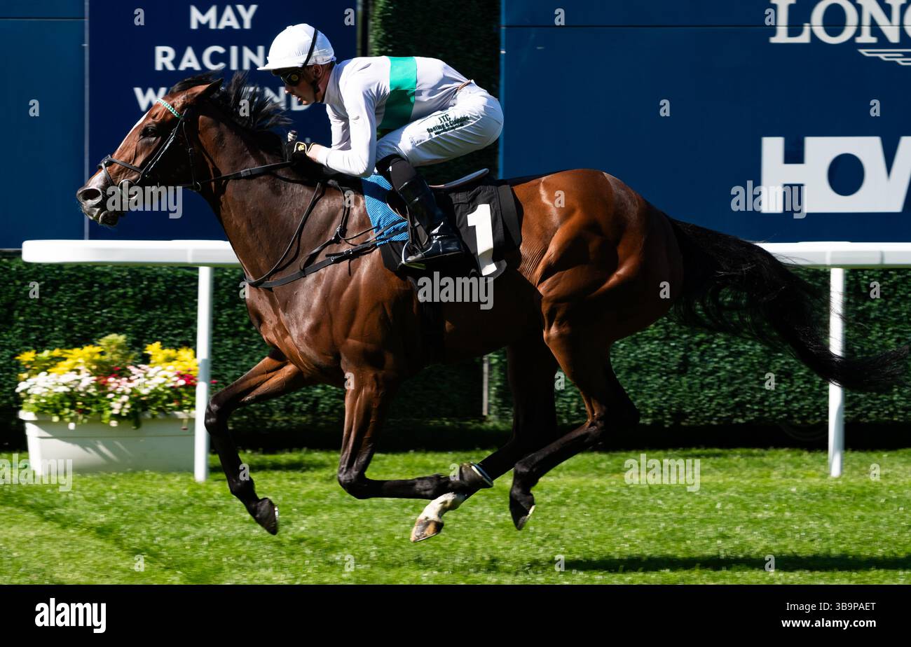 Ascot, Großbritannien, Samstag, 10. Mai 2025; Morrophore und Jockey Luke Catton gewinnen die Handicap-Stakes der Mariner Systems Fillies für die Trainer John & Thady Gosden und den Besitzer George Strawbridge. Credit JTW equine Images / Alamy Live News. Stockfoto