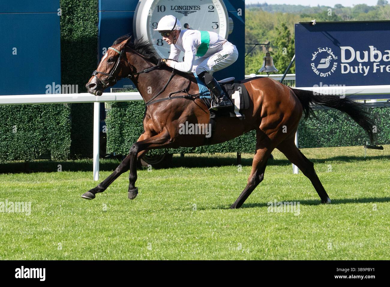 Ascot, Berkshire, Großbritannien. Mai 2025. Das Pferd MORROPHORE, das von Jockey Luke Catton geritten wurde, gewinnt die Handicap-Stakes der Mariner Systems Fillies in der Klasse 4 beim Peroni Nastro Azzurro 0,0% Victoria Cup Raceday auf der Ascot Racecourse in Ascot, Berkshire. Besitzer George Strawbridge, Trainer John & Thady Gosden, Newmarket, Züchter George Strawbridge. Quelle: Maureen McLean/Alamy Live News Stockfoto