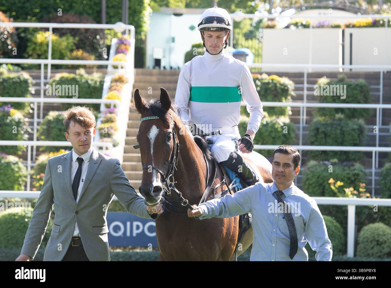 Ascot, Berkshire, Großbritannien. Mai 2025. Das Pferd MORROPHORE, das von Jockey Luke Catton geritten wurde, gewinnt die Handicap-Stakes der Mariner Systems Fillies in der Klasse 4 beim Peroni Nastro Azzurro 0,0% Victoria Cup Raceday auf der Ascot Racecourse in Ascot, Berkshire. Besitzer George Strawbridge, Trainer John & Thady Gosden, Newmarket, Züchter George Strawbridge. Quelle: Maureen McLean/Alamy Live News Stockfoto