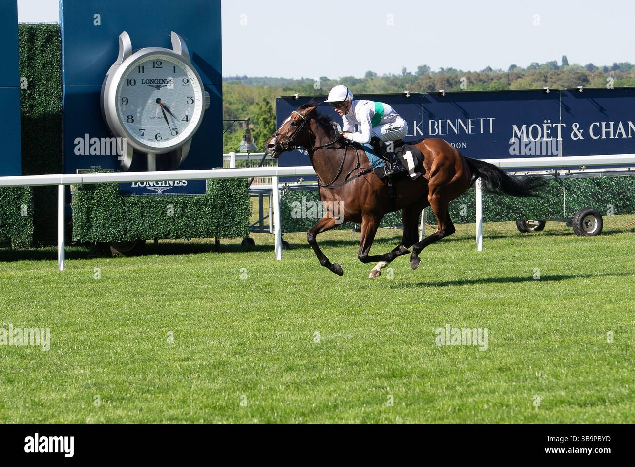 Ascot, Berkshire, Großbritannien. Mai 2025. Das Pferd MORROPHORE, das von Jockey Luke Catton geritten wurde, gewinnt die Handicap-Stakes der Mariner Systems Fillies in der Klasse 4 beim Peroni Nastro Azzurro 0,0% Victoria Cup Raceday auf der Ascot Racecourse in Ascot, Berkshire. Besitzer George Strawbridge, Trainer John & Thady Gosden, Newmarket, Züchter George Strawbridge. Quelle: Maureen McLean/Alamy Live News Stockfoto