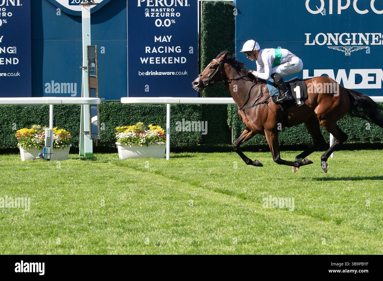 Ascot, Berkshire, Großbritannien. Mai 2025. Das Pferd MORROPHORE, das von Jockey Luke Catton geritten wurde, gewinnt die Handicap-Stakes der Mariner Systems Fillies in der Klasse 4 beim Peroni Nastro Azzurro 0,0% Victoria Cup Raceday auf der Ascot Racecourse in Ascot, Berkshire. Besitzer George Strawbridge, Trainer John & Thady Gosden, Newmarket, Züchter George Strawbridge. Quelle: Maureen McLean/Alamy Live News Stockfoto