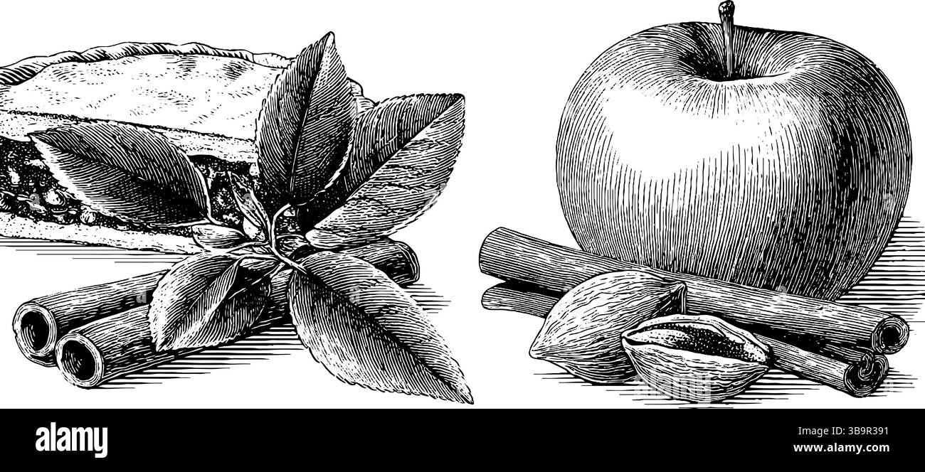 Gravierte Apfelkuchen und Zimt mit Gewürzen für kulinarisches Design und Dekor. Stock Vektor