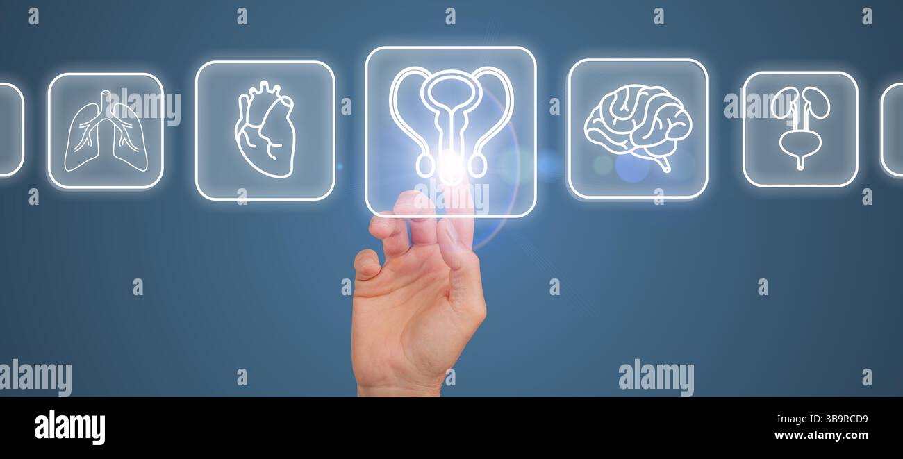 Eine digitale Schnittstelle, die eine Reproduktionssystemuntersuchung mit Schwerpunkt auf männlicher Gesundheit und Fruchtbarkeit zeigt. Der Finger wählt Optionen auf einem holografischen Geröll aus Stockfoto