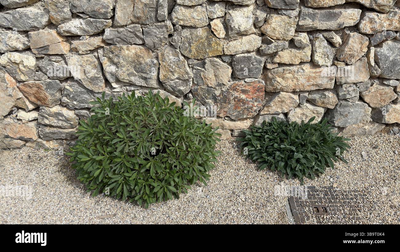 Natursteinmauer aus großen Steinen Stockfoto