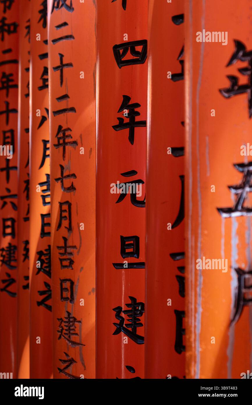 Kyoto, Japan, 23. April 2025: Ein hellrotes Torii-Tor, das dicht beieinander steht und einen lebendigen Tunnel mit japanischen Inschriften in fushimi inari sh bildet Stockfoto