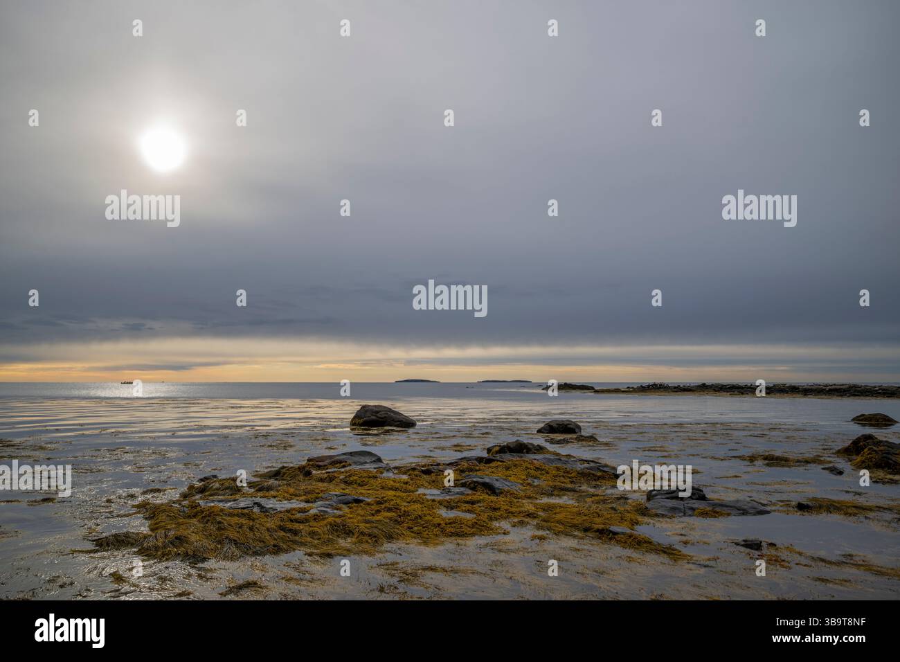 Ufermauer. Oktober im Acadia-Nationalpark, Maine, USA. Stockfoto