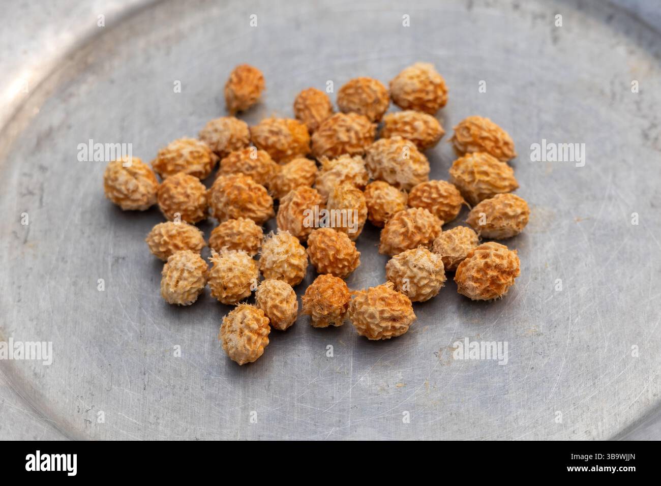 Nahaufnahme getrockneter Pflaumenfruchtsamen auf Besteck. Diese Frucht, auch indischer Jujube, chinesischer Dattel oder Chinee Apfel genannt, ist lokal als Boroi oder K bekannt Stockfoto