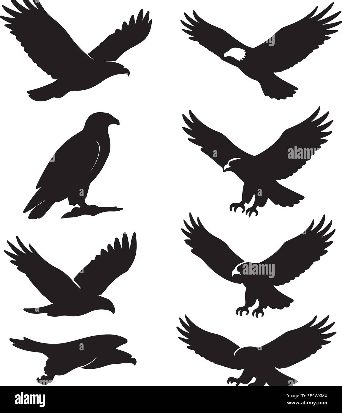 Eagle Silhouettes Collection – 8 majestätische Greifvögel in dynamischen Posen Stock Vektor