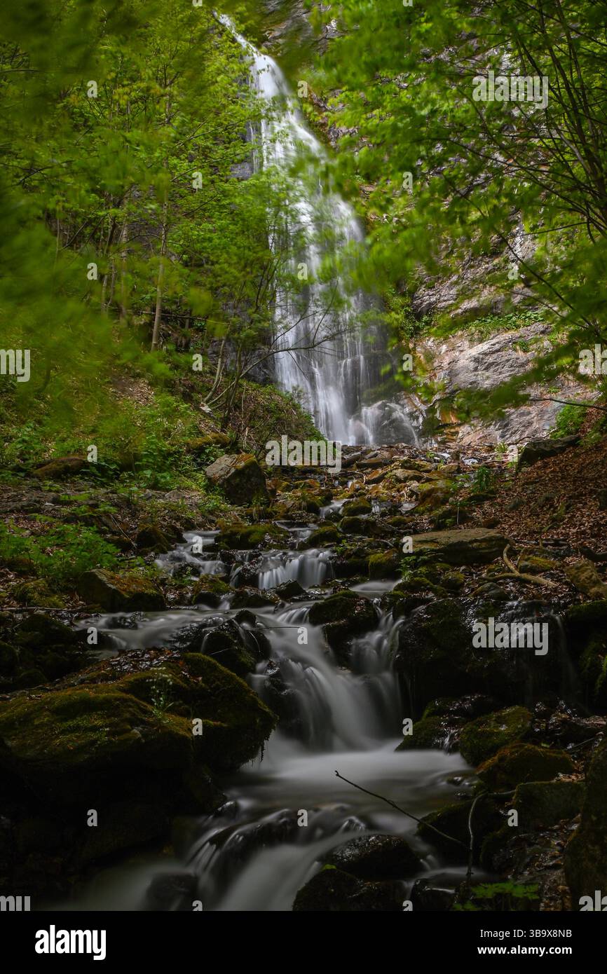Malerischer Blick auf den Sutovsky-Wasserfall, der über Felsen in einem wunderschönen grünen Wald fließt und eine friedliche natürliche Landschaft schafft. Stockfoto