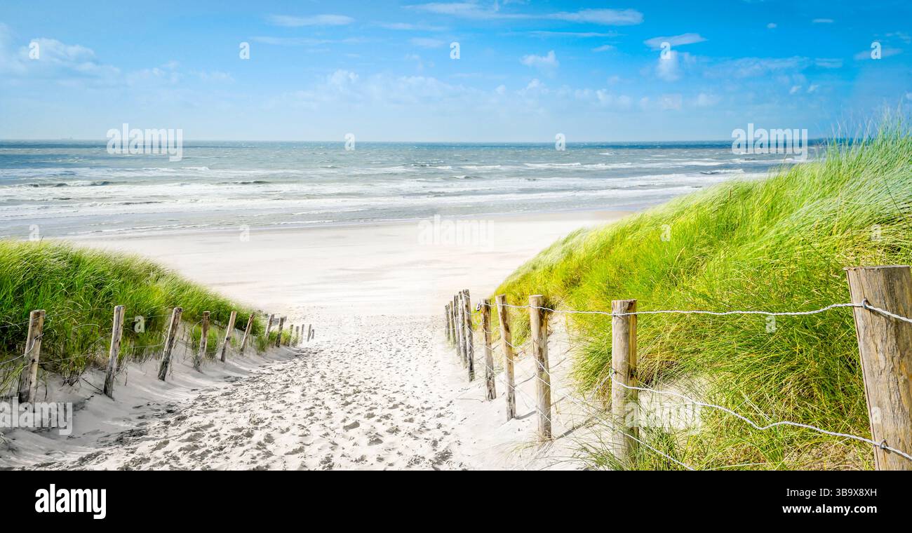 Ein sandiger Pfad, der von hohem Gras umgeben ist, führt zu einem ruhigen Strand. Sanfte Wellen wallen am Ufer unter einem hellblauen Himmel mit verstreuten Wolken, sho Stockfoto