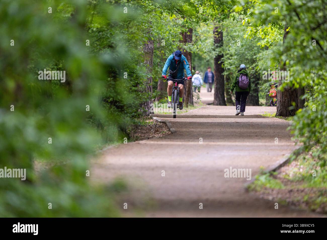 Ein Gesundheitspfad schlängelt sich durch einen Waldpark in der Nähe einer großen Stadt. Der strukturierte Pfad ist für Spaziergänge und Outdoor-Übungen konzipiert, umgeben von üppigen Bäumen Stockfoto