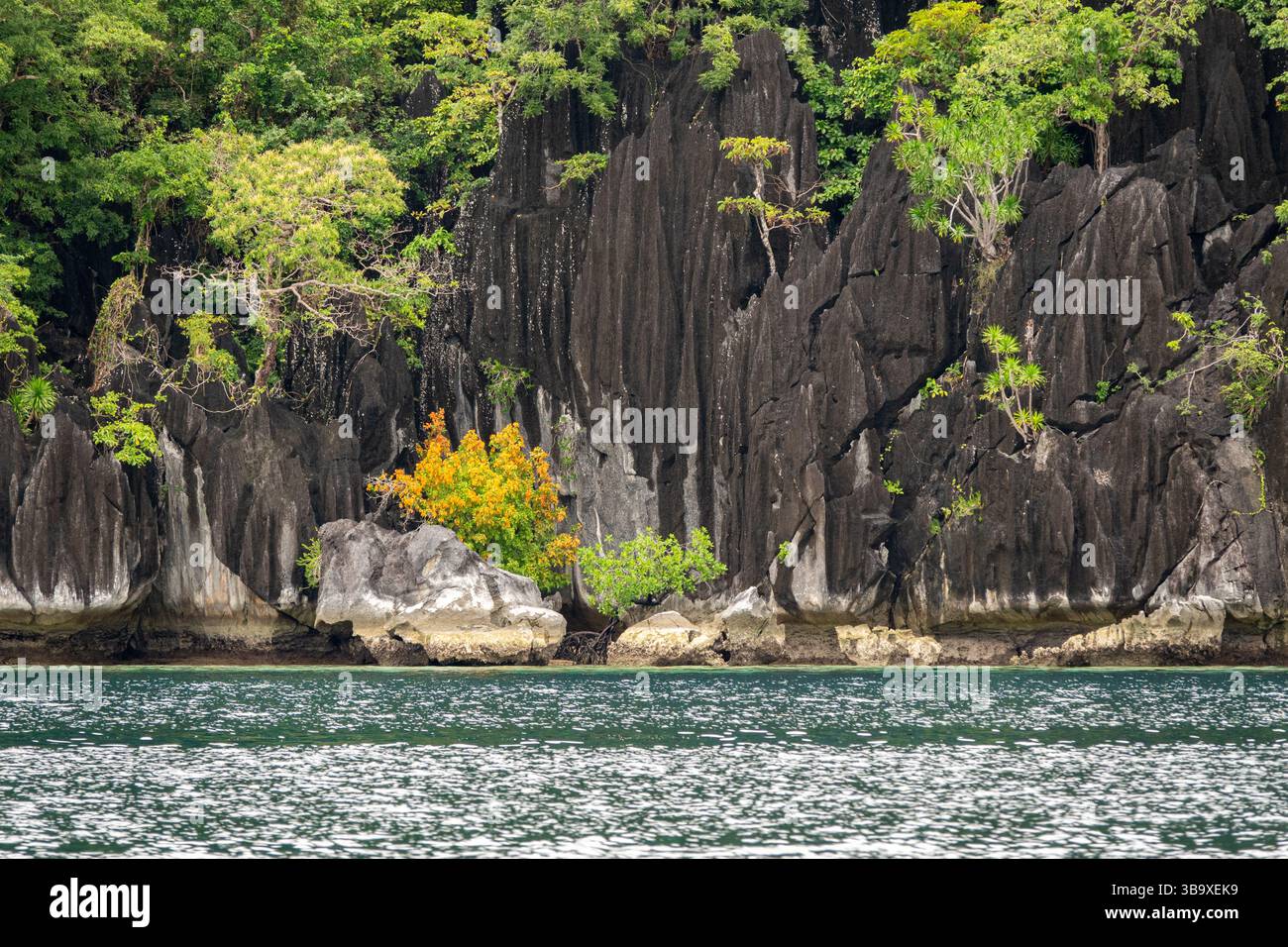Unberührtes Wasser in Coron, Palawan, umgeben von Kalksteinklippen Stockfoto Unberührtes Wasser in Coron, Palawan, umgeben von Kalksteinklippen Stockfoto