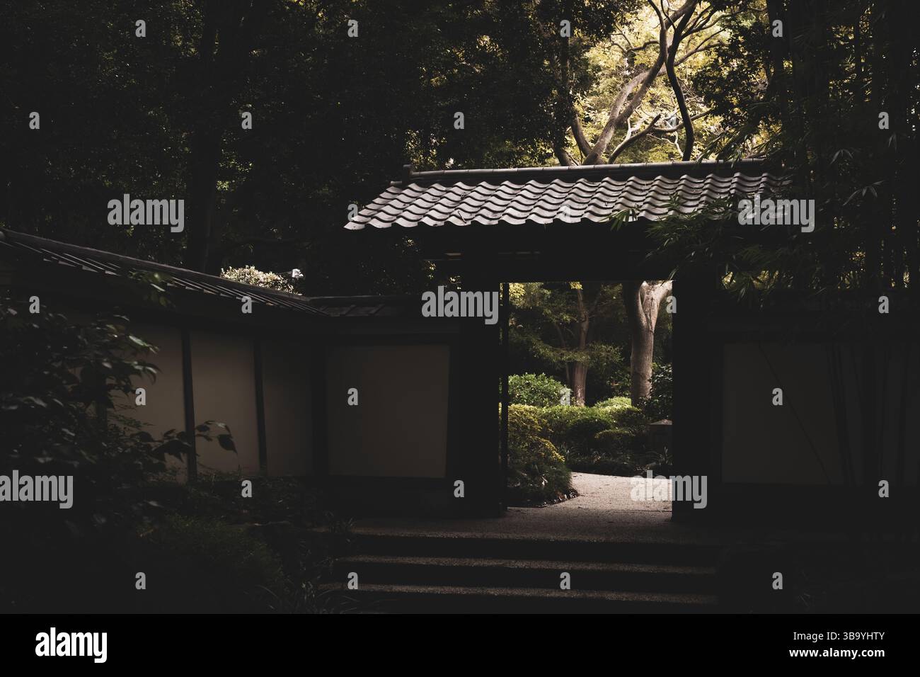 Ein ruhiges Holztor öffnet sich für gefiltertes Licht Stockfoto