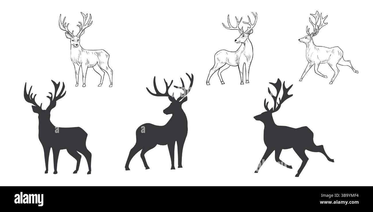 Hirsch Hand gezeichnet schwarz weiß Umrissvektor Set Illustration. Waldtiere Rentier mit Geweih monochrome Skizze für Winter- und Weihnachtsmotive Stock Vektor