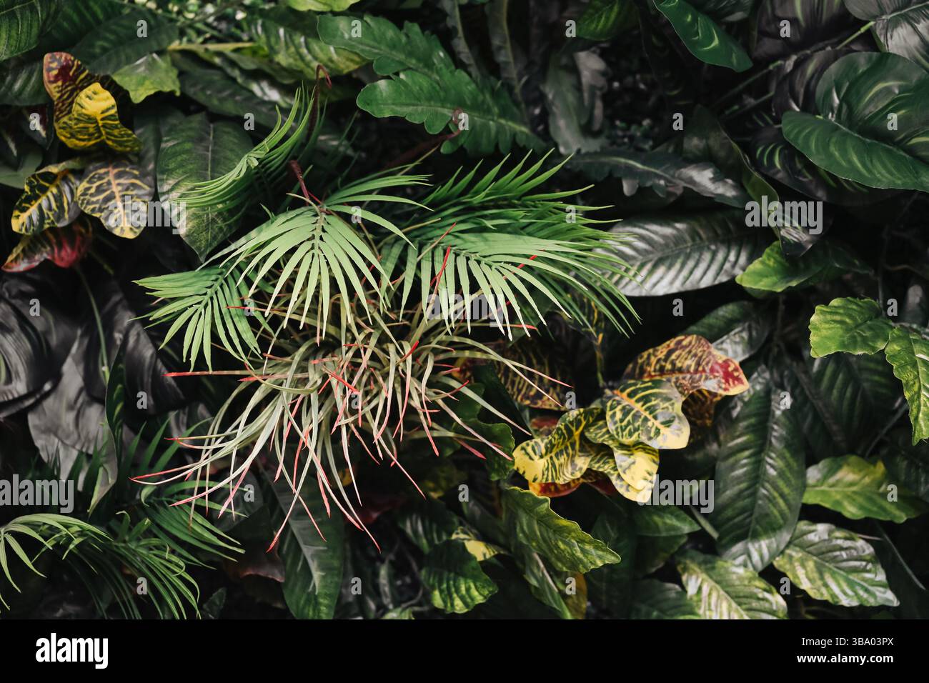 Tropische Blätter Hintergrund. Dichte exotische Pflanzenwand. Üppiges Grün im Dschungelstil. Lebendiges, gemischtes Laub. Dekorative Gartenkulisse. Stockfoto