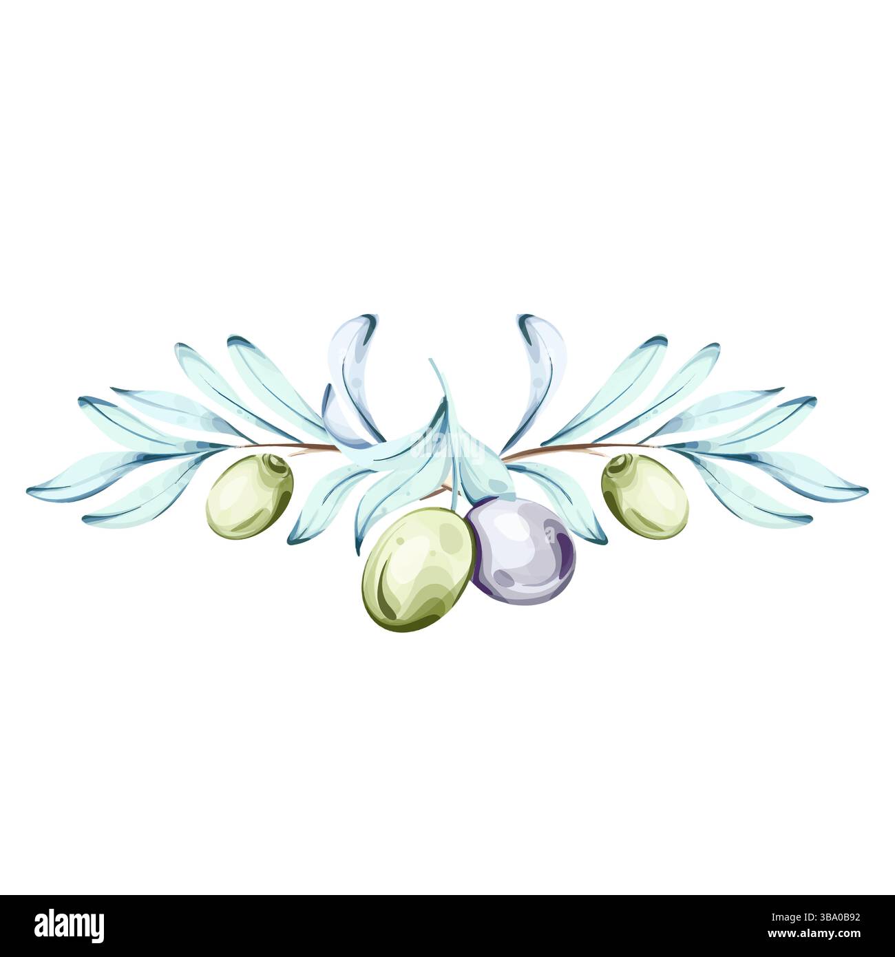 Zartes Aquarellbild von Oliven und Olivenöl inspiriert von italienischer Küche und Natur Rahmen, Grenze, Anordnung Stock Vektor