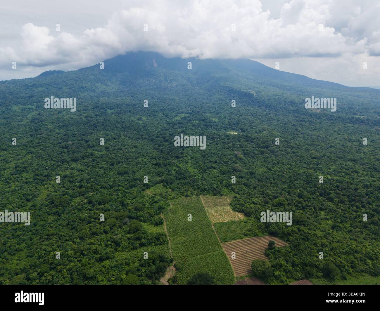 Grüne Vulkanlandschaft mit Blick auf die Landwirtschaftsfläche aus der Luft Stockfoto