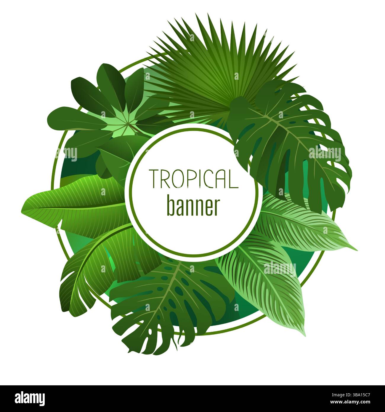 Tropisches Banner. Exotische Pflanzen, Palmblätter, runder Rahmen, Kopierraum für Text. Etikettendesign mit Monstera und Dschungelblatt. Regenwaldgarten. Dekoratives Emblem. Vektor-isolierte botanische Illustration Stock Vektor