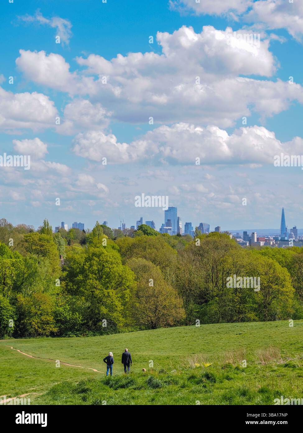 Spaziergang auf Hampstead Heath, Kenwood Aussichtspunkt, mit Blick auf die City of London, Camden, London, England, Großbritannien, GB Stockfoto