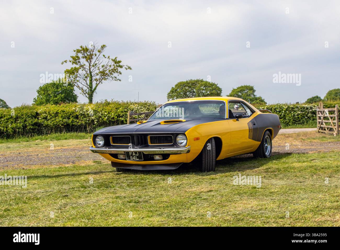Yellow Plymouth aus den 1973 70er Jahren 6276 ccm; 2025 Wheels Up North, American Car Culture Event, modifizierte Klassiker und Supersportwagen Event, Longridge England, Großbritannien Stockfoto