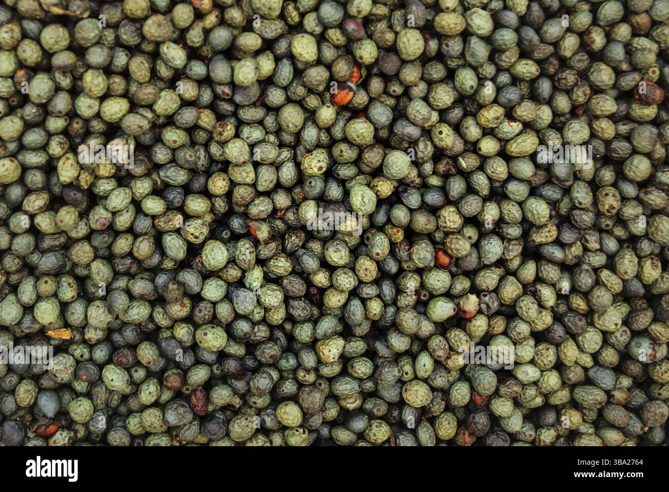 Türkischer grüner, blauer und schwarzer Tellicherry-Pfeffer auf dem Lebensmittelmarkt. Kyrenia, Zypern, Zypern, Europa Stockfoto