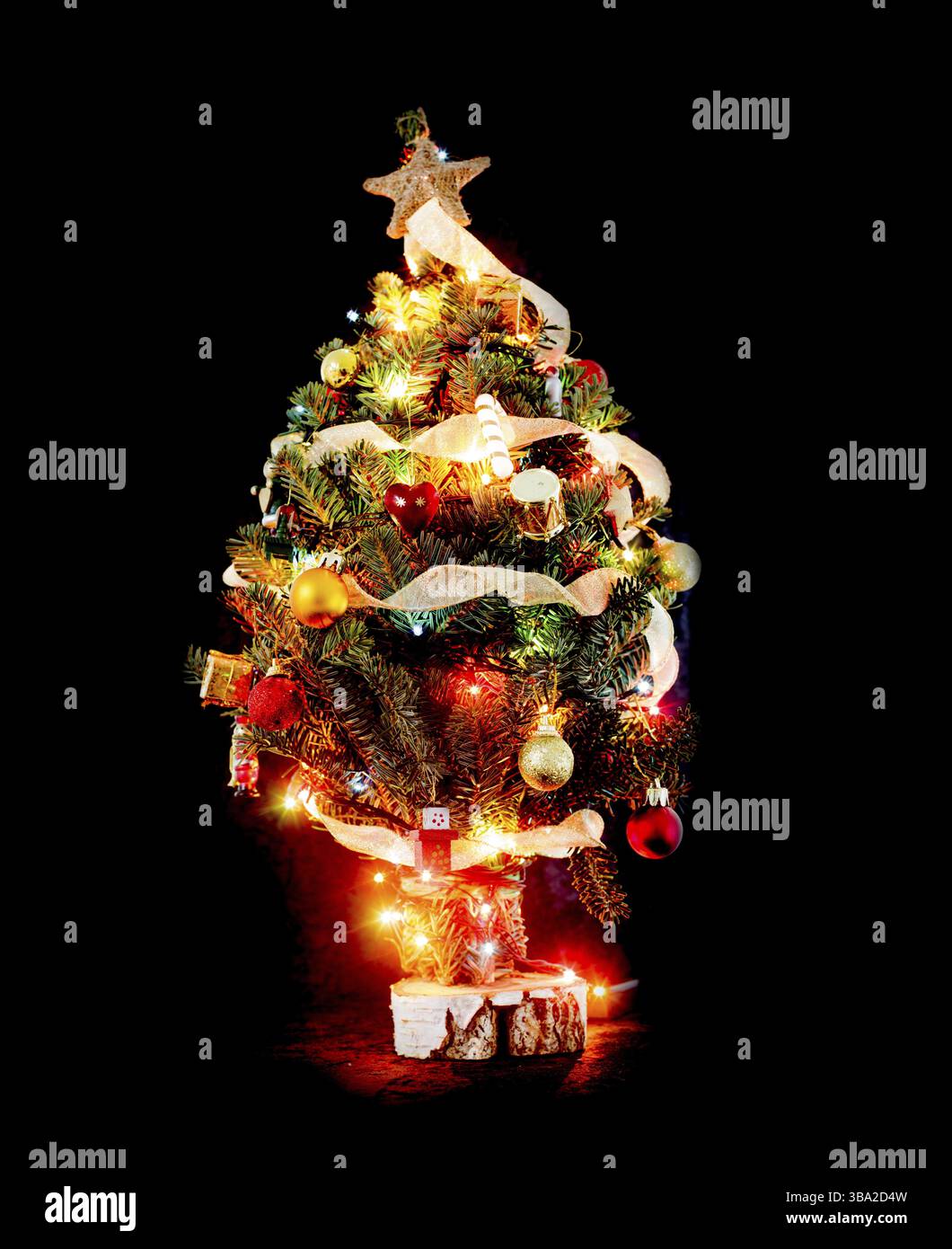 Kleiner Weihnachtsbaum aus Pinienzweigen auf schwarzem Hintergrund Stockfoto